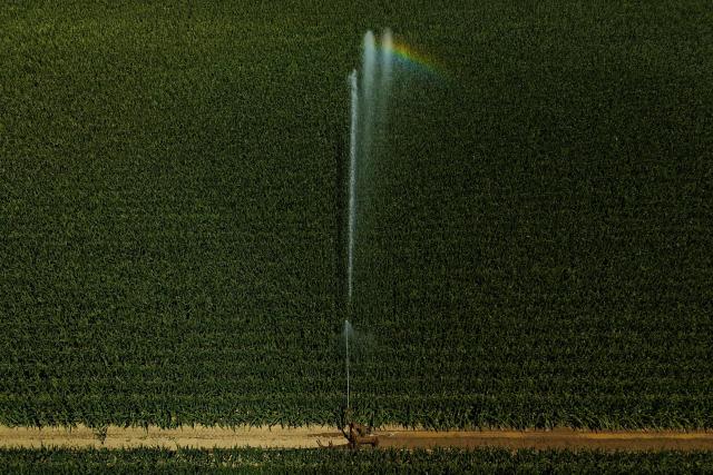 This aerial photograph shows a jet of irrigation water arcing over a green maize field during a heatwave and drought on the outskirts of Marmande, south-western France, on July 8, 2026. (Photo by Philippe LOPEZ / AFP)