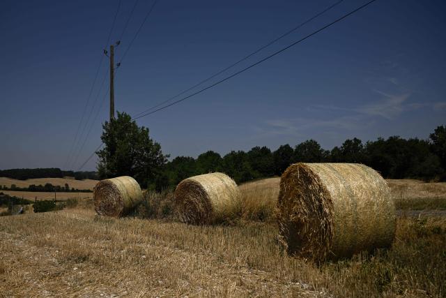 This photograph shows straw bales and stubble across rolling farmland after an early cereal harvest hastened by heatwave and drought near Ségalas, some 35 kilometres from Marmande, south-western France, on July 8, 2026. (Photo by Philippe LOPEZ / AFP)