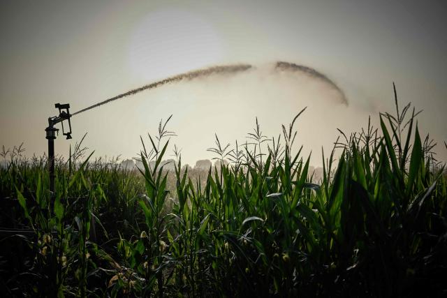 This photograph shows a hose reel irrigator spraying water over a maize field as a heatwave and drought strain agriculture in La Réole, south-western France, on July 8, 2026. (Photo by Philippe LOPEZ / AFP)