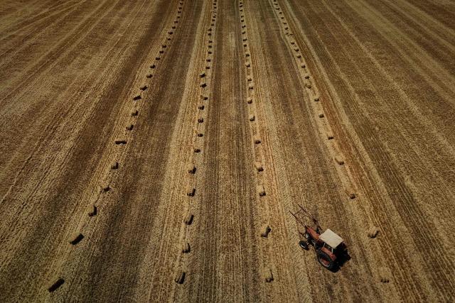 This aerial photograph shows a tractor and baler standing in a harvested field dotted with round straw bales after an early cereal harvest brought forward by a summer heatwave near Ségalas, some 35 kilometres from Marmande, south-western France, on July 8, 2026. (Photo by Philippe LOPEZ / AFP)