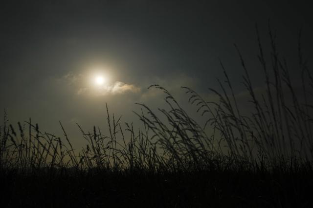 This photograph shows the sun in a hazy sky over tall grasses during a summer heatwave and drought in La Réole, south-western France, on July 8, 2026. (Photo by Philippe LOPEZ / AFP)