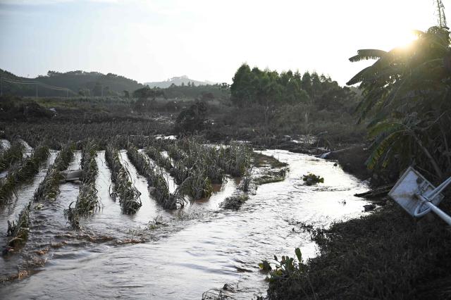 Flood waters flow over a corn field on the outskits of Gantang, in China’s southwest Guangxi region, on July 9, 2026. The death toll from devastating floods in southern China's Guangxi region rose to 39 on July 9, with nine people still missing, state media reported, as residents went about cleaning up. (Photo by GREG BAKER / AFP)