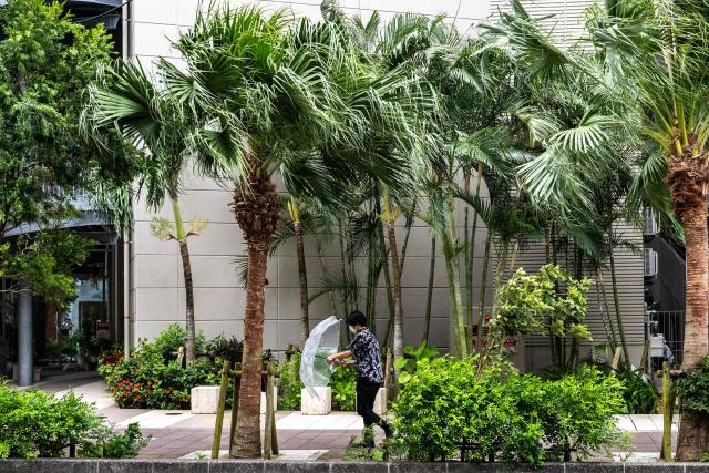 A pedestrian walks against strong winds in Naha, the capital city of Okinawa Prefecture, on July 10, 2026. (Photo by Philip FONG / AFP)