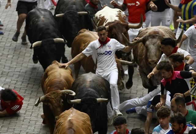 Participants run ahead of bulls during the fourth running of the bulls of the San Fermin festival in Pamplona, northern Spain, on July 10, 2026. Thousands of people every year attend the week-long festival and its famous 'encierros', or running of the bulls, in which six bulls are released at 8:00 a.m. evey day to run from their corral to the bullring through the narrow streets of the old town over an 850 meters (yards) course while runners ahead of them try to stay close to the bulls without falling over or being gored. (Photo by ANDER GILLENEA / AFP)