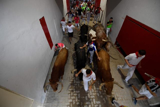 Participants run ahead of bulls during the fourth running of the bulls of the San Fermin festival in Pamplona, northern Spain, on July 10, 2026. Thousands of people every year attend the week-long festival and its famous 'encierros', or running of the bulls, in which six bulls are released at 8:00 a.m. evey day to run from their corral to the bullring through the narrow streets of the old town over an 850 meters (yards) course while runners ahead of them try to stay close to the bulls without falling over or being gored. (Photo by ANDER GILLENEA / AFP)