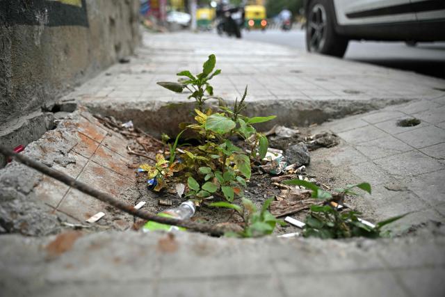 This photograph taken on July 6, 2026 shows a plant growing through a damaged footpath along a road in Bengaluru. In India, a pavement can be many things -- hawking site, parking area, garbage dumping space -- but rarely what it is meant to be: a safe unobstructed path to walk on. (Photo by Idrees MOHAMMED / AFP)