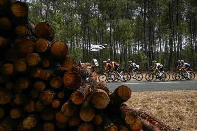 The pack of riders (peloton) past stacks of timber in the Landes de Gironde natural park during the 7th stage of the 113th edition of the Tour de France cycling race, 175,1 km between Hagetmau and Bordeaux in southwestern France, on July 10, 2026. (Photo by Loic VENANCE / AFP)