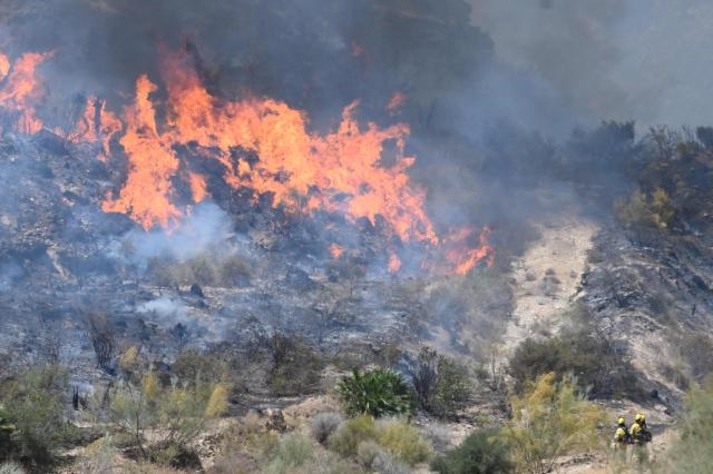 Firefighters of the Infoca (Andalusia Wildfire Service) work to extinguish fire in the area of a wildfire that killed 11 near Bedar, in Los Gallardos district, in Almeria Province, on July 10, 2026. Eleven people were killed and 19 are missing after a wildfire tore through a Spanish village, with four victims who may have been British who were burned in their car, authorities said. (Photo by JOSE JORDAN / AFP)