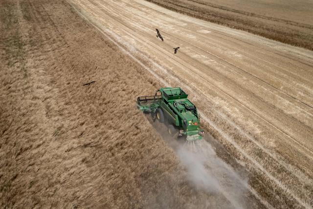 This aerial view shows birds of prey flying overhead as a combine harvester reaps a field, trailing a cloud of dust amid drought conditions during a heatwave, near Les Geneveys-sur-Coffrane, western Switzerland on July 10, 2026. (Photo by Fabrice COFFRINI / AFP)