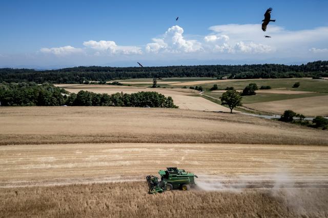 This aerial view shows birds of prey flying overhead as a combine harvester reaps a field, trailing a cloud of dust amid drought conditions during a heatwave, near Les Geneveys-sur-Coffrane, western Switzerland on July 10, 2026. (Photo by Fabrice COFFRINI / AFP)
