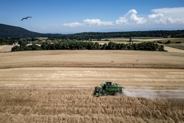 This aerial view shows birds of prey flying overhead as a combine harvester reaps a field, trailing a cloud of dust amid drought conditions during a heatwave, near Les Geneveys-sur-Coffrane, western Switzerland on July 10, 2026. (Photo by Fabrice COFFRINI / AFP)