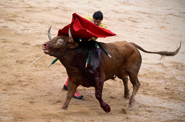 EDITORS NOTE: Graphic content / Spanish bullfighter Pablo Aguado performs a pass with an Alvaro Nunez bull during a bullfight at the San Fermin festival in Pamplona, northern Spain, on July 10, 2026. (Photo by ANDER GILLENEA / AFP)