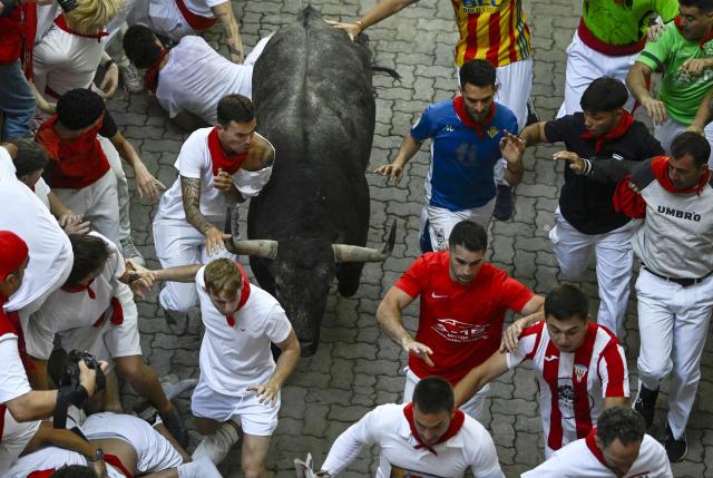 Participants run with the bulls during the fifth running of the bulls of the San Fermin festival in Pamplona, northern Spain, on July 11, 2026. Thousands of people every year attend the week-long festival and its famous 'encierros', or running of the bulls, in which six bulls are released at 8:00 a.m. evey day to run from their corral to the bullring through the narrow streets of the old town over an 850 meters (yards) course while runners ahead of them try to stay close to the bulls without falling over or being gored. (Photo by ANDER GILLENEA / AFP)