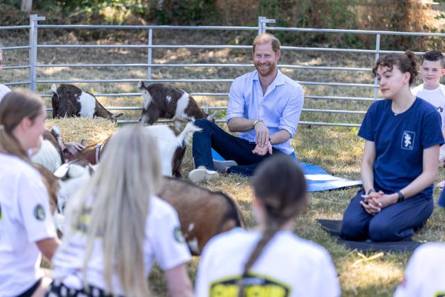 Britain's Prince Harry, Duke of Sussex, reacts as he takes part in a 'Goat Yoga' class as he attends 'Scotty's Summer Festival' at Maxstoke Castle near Birmingham, central England on July 11, 2026. (Photo by Heathcliff O'MALLEY / POOL / AFP)