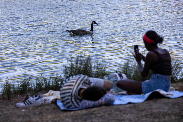 A duck swims in the Daumesnil Lake as a couple picnics in the shadow of a tree to protect from the sun during a heatwave at the Bois de Vincennes park in Paris on July 11, 2026. (Photo by Behrouz MEHRI / AFP)
