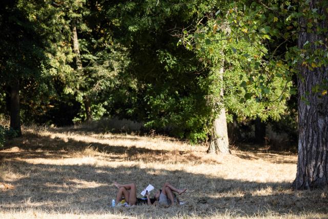 A couple lies in the shadow of a tree to protect from the sun during a heatwave at the Bois de Vincennes park in Paris on July 11, 2026. (Photo by Behrouz MEHRI / AFP)