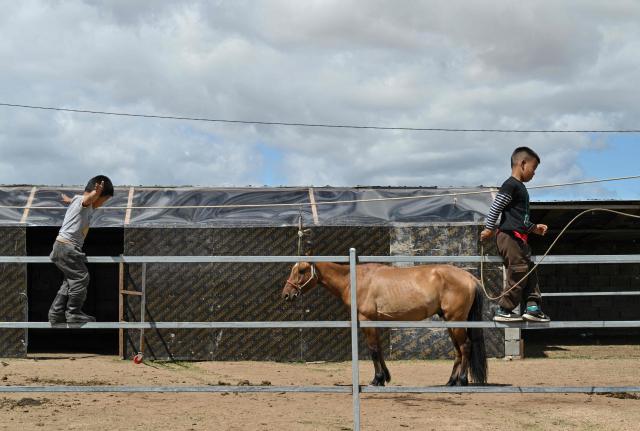 Child jockey six-year-old Hurts Gantumur (R) and his little brother three-year-old Galt Gantumur (L) play at the family stable on the outskirts of Ulaanbaatar on June 23, 2026. Six-year-old Hurts Gantumur raced across the Mongolian grasslands astride a galloping horse, training to become a child jockey in the country's biggest cultural festival. (Photo by Adek BERRY / AFP) / To go with 'Mongolia-Festival-Jockey' Visual story by Mungunsor Purevsuren