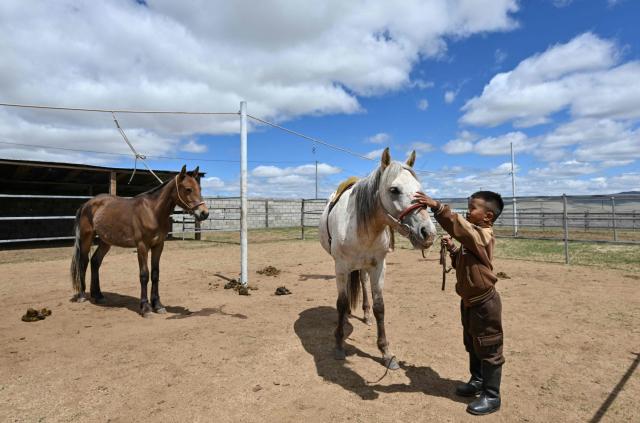 Six-year-old jockey Hurts Gantumur prepares his horse before practising horse riding ahead of the Naadam festival on the outskirts of Ulaanbaatar on June 23, 2026. Six-year-old Hurts Gantumur raced across the Mongolian grasslands astride a galloping horse, training to become a child jockey in the country's biggest cultural festival. (Photo by Adek BERRY / AFP) / To go with 'Mongolia-Festival-Jockey' Visual story by Mungunsor Purevsuren