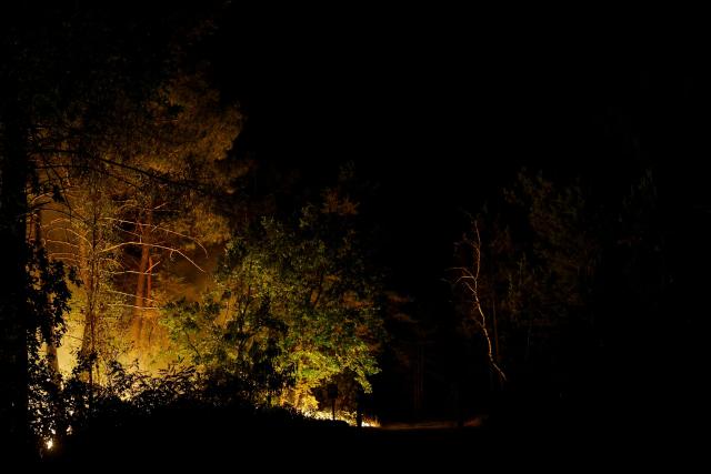 Flames rise in the Fontainebleau Forest after a forestfire broke out late afternoon on July 12, 2026. The fire that has been raging in the Fontainebleau forest, in the south of the Paris region, is of "exceptional magnitude" said the sub-prefect for the area. Whilst two water-bombing aircraft have been deployed to tackle the blaze, a first for Paris' Ile-de-France region, some 400 firefighters are on the ground battling the fire, which, shortly before 11.00 pm, had spread across more than 300 hectares and was still "spreading", the official added during a press briefing. (Photo by GEOFFROY VAN DER HASSELT / AFP)