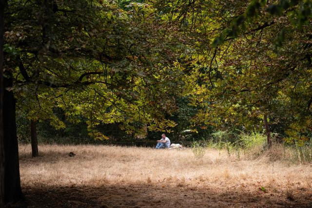 A couple rests on dried out grass at the Vincennes Woods, a park in eastern Paris, on July 13, 2026, amid a heatwave. The Paris region, and large parts of the rest of France, is currently experiencing the third heatwave since May 2026, increasing the risk of fires. The three heatwaves have seen temperature records broken in several countries across Europe and have caused thousands of excess deaths, according to estimates in Belgium, Britain, France and Spain. (Photo by Martin LELIEVRE / AFP)