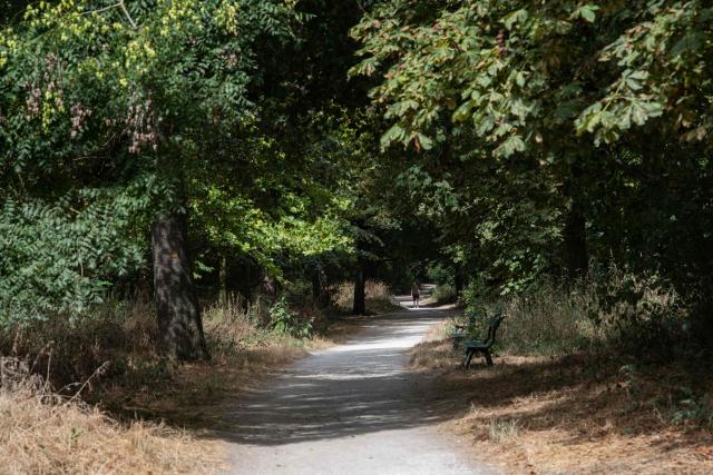 A man walks next to dried out vegetation on the ground at the Vincennes Woods, a park in eastern Paris, on July 13, 2026, amid a heatwave. The Paris region, and large parts of the rest of France, is currently experiencing the third heatwave since May 2026, increasing the risk of fires. The three heatwaves have seen temperature records broken in several countries across Europe and have caused thousands of excess deaths, according to estimates in Belgium, Britain, France and Spain. (Photo by Martin LELIEVRE / AFP)