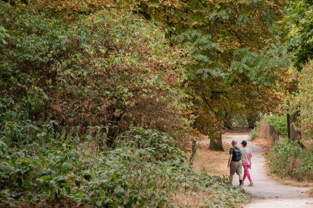 A couple walks past dried out leaves of vegetation under water stress at the Vincennes Woods, a park in eastern Paris, on July 13, 2026, amid a heatwave. The Paris region, and large parts of the rest of France, is currently experiencing the third heatwave since May 2026, increasing the risk of fires. The three heatwaves have seen temperature records broken in several countries across Europe and have caused thousands of excess deaths, according to estimates in Belgium, Britain, France and Spain. (Photo by Martin LELIEVRE / AFP)