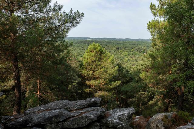 (FILES) This photograph shows a general view of the Fontainebleau forest from a section of the 25 bumps hiking path, near Noisy-sur-Ecole, south of Paris on August 6, 2025. A rocky chaos, oceanic sands, a fairy pond: former hunting estate of the kings of France, the Fontainebleau forest is a vast massif southeast of Paris, a green lung of exceptional biodiversity.
On the morning of July 13, 2026, an extraordinary fire had swept through some 800 hectares of the massif's 25,000 hectares - including 23,000 ha of public forest, managed by the National Forestry Office (ONF).
This is the worst fire since those of 1921 (762 hectares) and 1945 (825 ha), according to archives dating back to 1863, notes Sophie David, head of the environment and public reception department at ONF Ile-de-France-Est and archaeologist specializing in Fontainebleau. (Photo by Martin LELIEVRE / AFP)