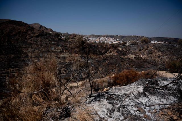 View of the burnt landscape days after a wildfire that killed at least 13 people, in Bedar, near Almeria on July 13, 2026. Three Britons and one national each from France, Belgium and Spain are among the 13 victims of one of the deadliest Spanish wildfires in recent times, authorities said on July 13 2026. The blaze that broke out on July 9, 2026, has transformed picturesque rural settlements into ghost towns and left a trail of destruction in the southeastern province of Almeria, home to many foreign residents near the Mediterranean coast. The authorities have cautioned that the number of missing people remains uncertain until autopsies and the identification of bodies are completed.  (Photo by JORGE GUERRERO / AFP)