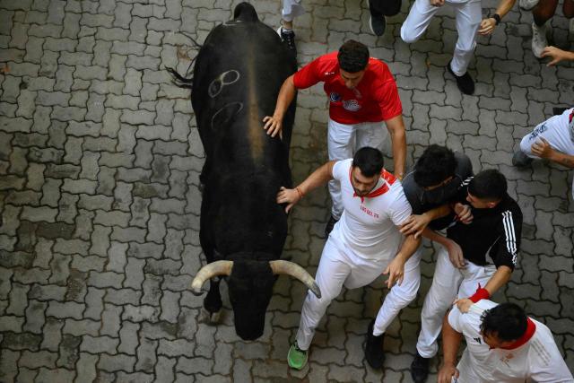 Participants run alongside a bull from the Jandilla bull ranch during the eighth running of the bulls of the San Fermin festival in Pamplona, northern Spain, on July 14, 2026. Thousands of people every year attend the week-long festival and its famous 'encierros', or running of the bulls, in which six bulls are released at 8:00 a.m. evey day to run from their corral to the bullring through the narrow streets of the old town over an 850 meters (yards) course while runners ahead of them try to stay close to the bulls without falling over or being gored. (Photo by Miguel RIOPA / AFP)