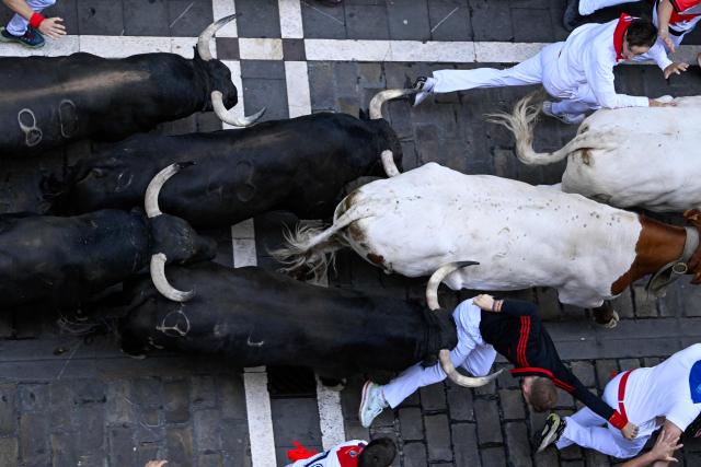 A runner tries to evade a bull as participants run ahead of bulls from the Jandilla bull ranch during the eighth running of the bulls of the San Fermin festival in Pamplona, northern Spain, on July 14, 2026. Thousands of people every year attend the week-long festival and its famous 'encierros', or running of the bulls, in which six bulls are released at 8:00 a.m. evey day to run from their corral to the bullring through the narrow streets of the old town over an 850 meters (yards) course while runners ahead of them try to stay close to the bulls without falling over or being gored. (Photo by ANDER GILLENEA / AFP)