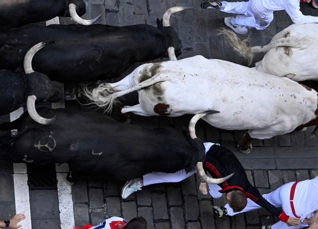 A runner tries to evade a bull as participants run ahead of bulls from the Jandilla bull ranch during the eighth running of the bulls of the San Fermin festival in Pamplona, northern Spain, on July 14, 2026. Thousands of people every year attend the week-long festival and its famous 'encierros', or running of the bulls, in which six bulls are released at 8:00 a.m. evey day to run from their corral to the bullring through the narrow streets of the old town over an 850 meters (yards) course while runners ahead of them try to stay close to the bulls without falling over or being gored. (Photo by ANDER GILLENEA / AFP)