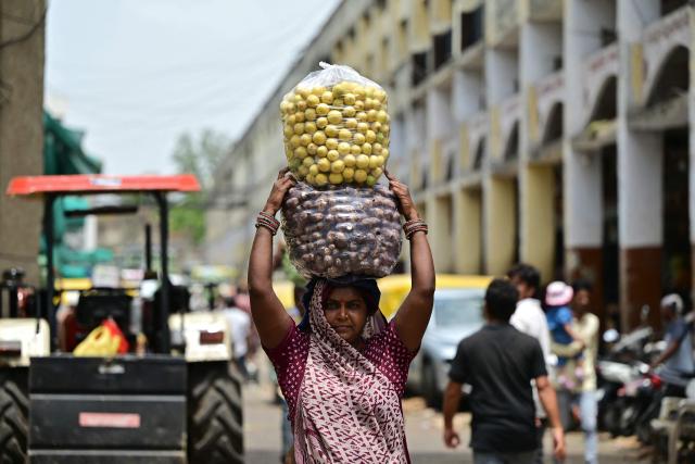 A vendor selling bags of lemon and taro looks for customers at a wholesale market in Ahmedabad on July 14, 2026. (Photo by Shammi MEHRA / AFP)