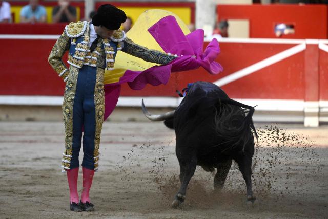 Peruvian matador Andres Roca Rey performs a pass to his first Jandilla’s fighting bull during the corrida at the Plaza de Toros bullring in the San Fermin festival in Pamplona, northern Spain, on July 14, 2026. (Photo by MIGUEL RIOPA / AFP)