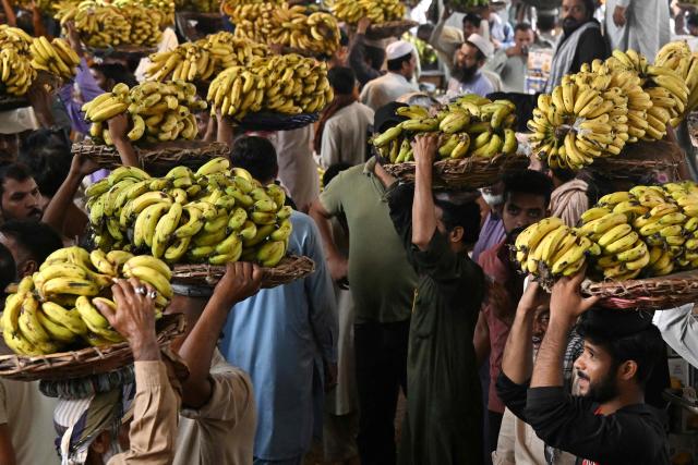 Labourers carry bananas for sale at a wholesale market in Lahore on July 15, 2026. (Photo by Arif ALI / AFP)