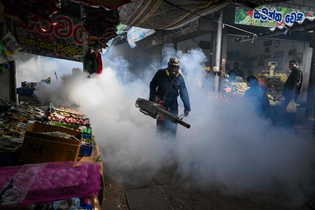 A municipal worker fumigates a market area during a dengue prevention campaign in Colombo on July 15, 2026. Sri Lanka is intensifying a military-backed drive to contain the spread of mosquito-borne dengue fever, a senior official said on July 15, as the death toll climbed to 49 since the start of the year. (Photo by Ishara S. KODIKARA / AFP)