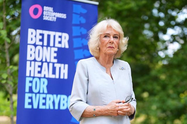 Britain's Queen Camilla, and president of the Royal Osteoporosis Society, attends a reception to mark 40 years of the charity, at Clarence House in London on July 15, 2026. (Photo by Aaron Chown / POOL / AFP)