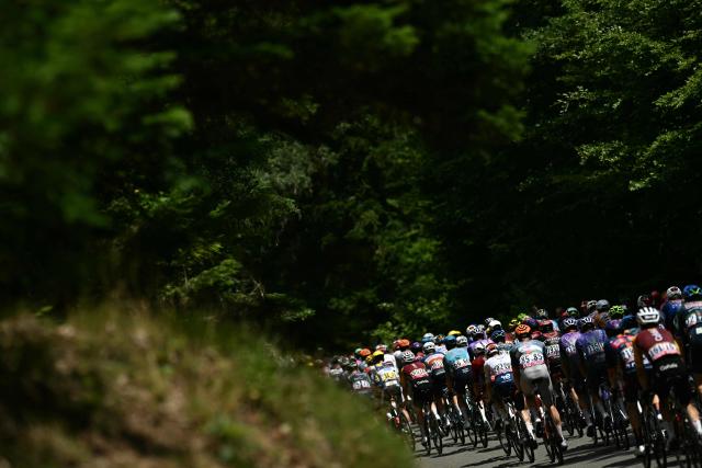 The pack of riders (peloton) cycles during the Grand Ballon ascent during 14th stage of the 113th edition of the Tour de France cycling race, 155,3 km between Mulhouse and Le Markstein in the Vosges mountains, on July 18, 2026. (Photo by Loic VENANCE / AFP)