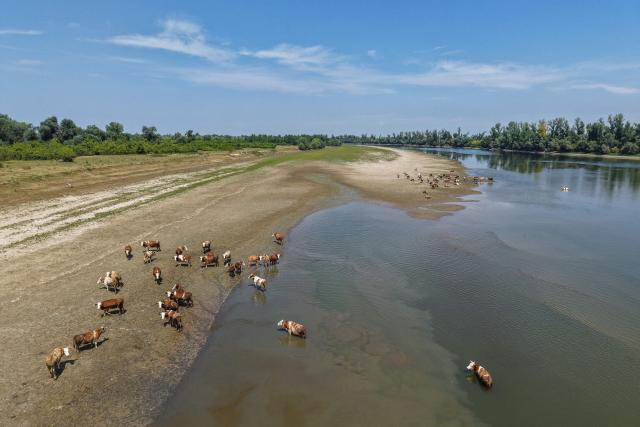 This aerial view shows the low water level of the Danube River near Backa Palanka, Serbia, on July 19, 2026. (Photo by Nenad MIHAJLOVIC / AFP)