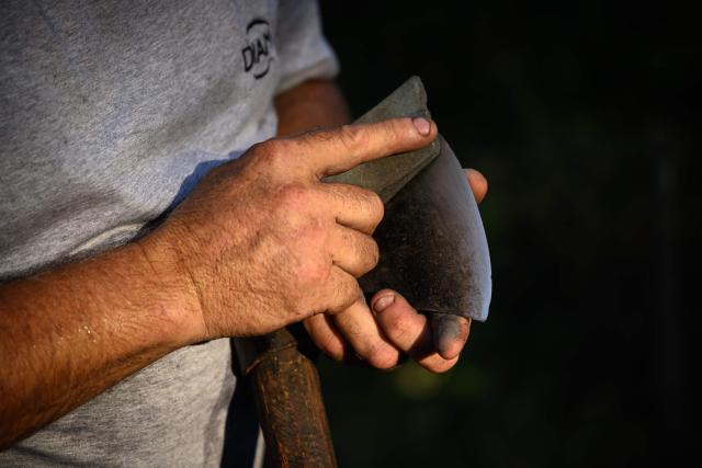 A lumberjack specializing in harvesting cork from cork oak trees sharpens the blade of his axe before a cork harvest for Diam Bouchonage in a cork oak forest in Saint-Jean-Pla-de-Corts, southwestern France, July 17, 2026. (Photo by Lionel BONAVENTURE / AFP)