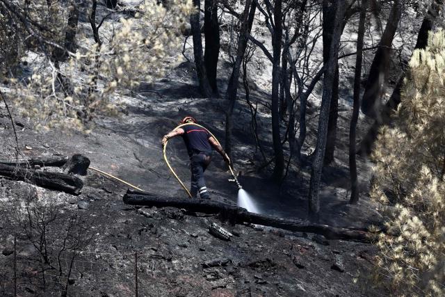 A firefighter douses hotspots following a wildfire in Taradeau, in Var department of Provence-Alpes-Côte d'Azur region, southeastern France on July 20, 2026. The intense fire that broke out on July 19 afternoon in the Var, was showing signs of improvement by evening, but had affected around ten houses and around fifty houses were affected. (Photo by Thibaud MORITZ / AFP)