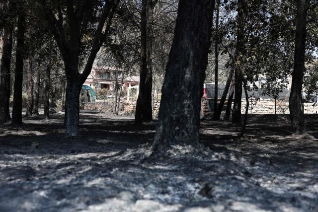 This photograph shows ashes of burnt vegetation near a house following a wildfire in Taradeau, in Var department of Provence-Alpes-Côte d'Azur region, southeastern France on July 20, 2026. The intense fire that broke out on July 19 afternoon in the Var, was showing signs of improvement by evening, but had affected around ten houses and around fifty houses were affected. (Photo by Thibaud MORITZ / AFP)