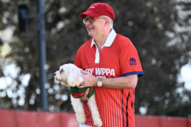 Australian Prime Minister Anthony Albanese holds his dog Toto during a charity backyard cricket match at Kirribilli House in Sydney on July 21, 2026. (Photo by DAN HIMBRECHTS / POOL / AFP)