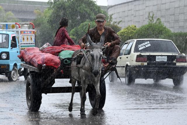 People ride their donkey cart along a street as it rains in Peshawar, in Pakistan's Khyber Pakhtunkhwa province on July 21, 2026. (Photo by Abdul MAJEED / AFP)