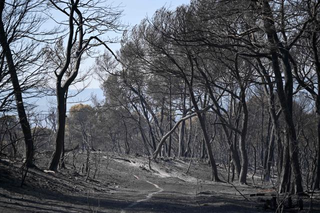 This photograph shows a view of a burnt area as a wildfire flares up again in Ponteves, southeastern France on July 22, 2026. Firefighters have managed to contain the fierce blaze that swept through 2,550 hectares in the Var in less than a day, forcing the evacuation of around 500 people, and which on July 22, 2026 is still burning across a vast mountainside. (Photo by Frederic Dides / AFP)