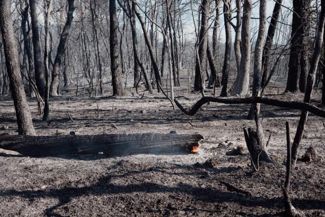 This photograph shows a glowing log in a burnt area as a wildfire flares up again in Ponteves, southeastern France on July 22, 2026. Firefighters have managed to contain the fierce blaze that swept through 2,550 hectares in the Var in less than a day, forcing the evacuation of around 500 people, and which on July 22, 2026 is still burning across a vast mountainside. (Photo by Frederic DIDES / AFP)