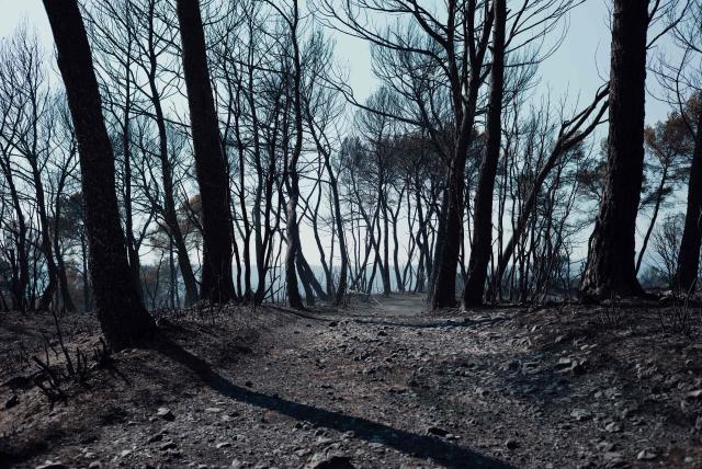 This photograph shows a view of a burnt area as a wildfire flares up again in Ponteves, southeastern France on July 22, 2026. Firefighters have managed to contain the fierce blaze that swept through 2,550 hectares in the Var in less than a day, forcing the evacuation of around 500 people, and which on July 22, 2026 is still burning across a vast mountainside. (Photo by Frederic DIDES / AFP)