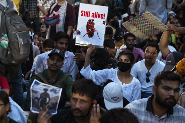 A Cockroach Janta Party (CJP) supporter holds a placard during an ongoing protest demanding the resignation of India's Education Minister Dharmendra Pradhan over alleged NEET exam irregularities, at the Jantar Mantar in New Delhi on July 22, 2026. Crowds of supporters of India's online "cockroach" movement grew on July 22 at a New Delhi protest site, while their demands for accountability and reform following examination scandals echoed in rallies across the country. (Photo by Arun SANKAR / AFP)