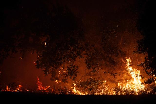 A wildfire rages on a forest close to a residential area near Lege-Cap-Ferret, southwestern France, on July 23, 2026. A highly virulent wildfire has swept through more than 3700 hectares since July 22, 2026 near the Arcachon Basin (Gironde), where nearly 20,000 residents and tourists have been evacuated in total from this area of the Landes de Gascogne forest, already devastated by flames in 2022. (Photo by JULIEN DE ROSA / AFP)