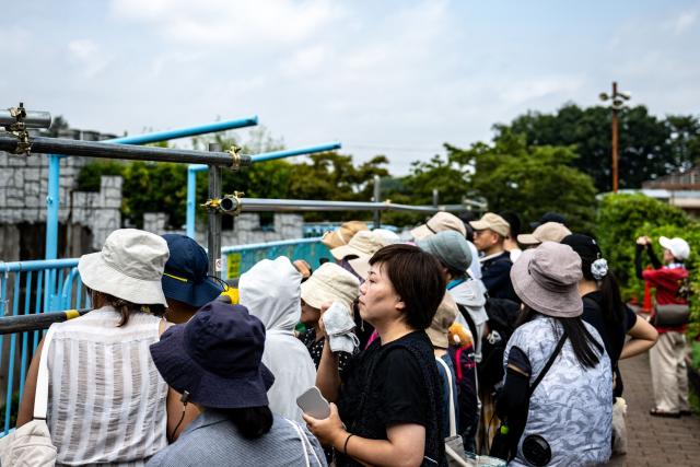 Visitors come to see the almost one-year-old male Japanese macaque monkey named 'Punch', who was abandoned by his mother shortly after birth, and other monkeys at Ichikawa City Zoo and Botanical Gardens in Ichikawa on July 24, 2026. (Photo by Philip FONG / AFP)