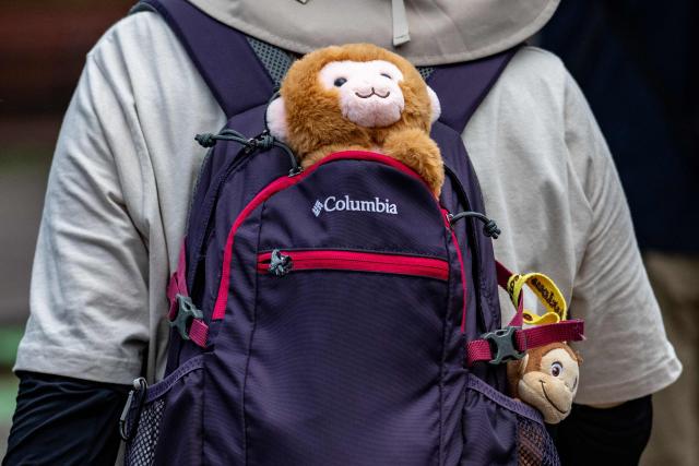 A visitor carrying stuffed monkey toys comes to see the almost one-year-old male Japanese macaque monkey named 'Punch', who was abandoned by his mother shortly after birth, at Ichikawa City Zoo and Botanical Gardens in Ichikawa on July 24, 2026. (Photo by Philip FONG / AFP)